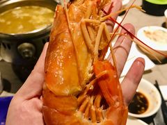 野生大红虾-海天盛宴海鲜自助(正大广场店)