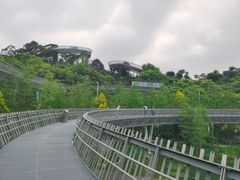 -福道