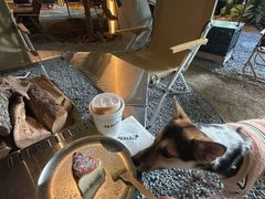 -J Create城市露营咖啡·简餐·宠物(上海动物园店)