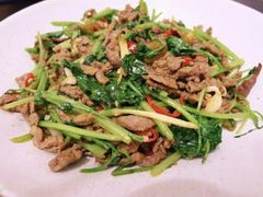 香菜牛肉-兔槽江湖菜·重庆璧山兔(水围店)
