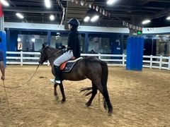 -骑乐马术(广州奥体优托邦中心)