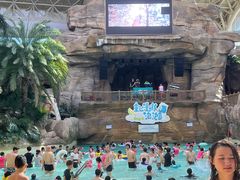 -杭州开元森泊度假乐园