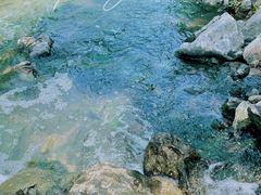 -羊山湖公园