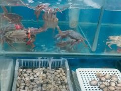 -麦凯乐(尚志大街店)