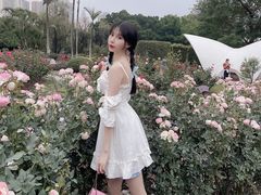 -人民公园(罗湖区)