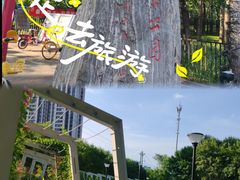 -大望京公园
