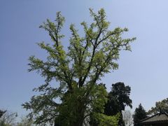 -金堂县云顶石城风景区