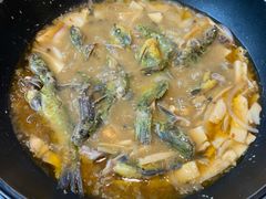 黄辣丁鲜鱼锅-小小河边鱼(天润城店)