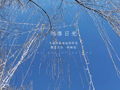-金城公园
