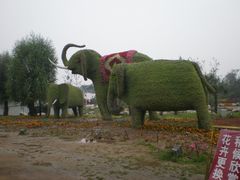 景点-西安世博园