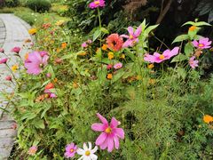 -桤木河湿地公园