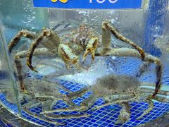-欢乐海岸美食联盟