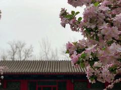 -恭王府博物馆