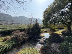 -中国茶叶博物馆(双峰馆区)