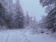 -秦岭风景区