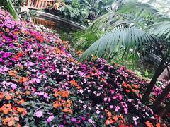 -国家植物园南园