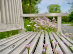 -花开海上生态园