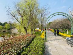 -杭州湾海上花田景区