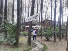 -林间山庄