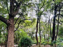 -蜀冈西峰生态公园