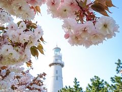 -悦海公园