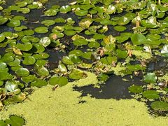 -盘龙城国家考古遗址公园