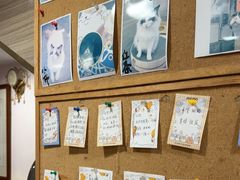 -严国平动物医院(德政总院)