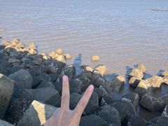 -南汇嘴观海公园