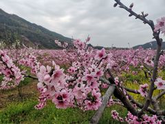 -青林口古镇
