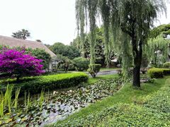 -锦腾轩滇味餐厅