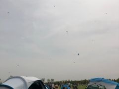 -春花秋色城市公园