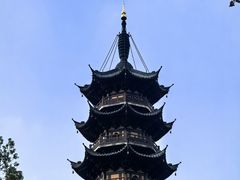 -龙华素斋(龙华路店)