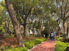 -北外滩滨江绿地