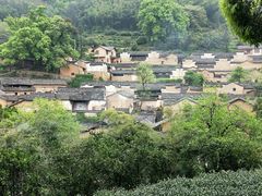 -杨家堂村