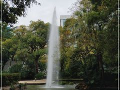 -九龙公园