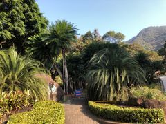 -深圳仙湖植物园