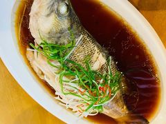 清蒸鲈鱼-台北楚楚园馅饼粥(虹桥南丰城店)