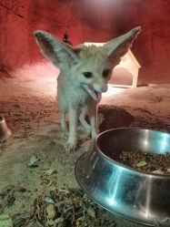 点击看大图 -酷嗒动物文化乐园(cutezoo西溪乐天城店)