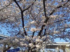 -陆家浜路(地铁站)