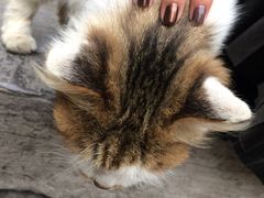 -西安化觉巷清真大寺