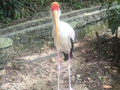-吉隆坡雀鸟公园