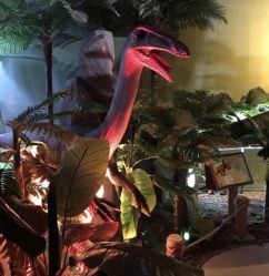 点击看大图 -恐龙探索乐园(磁器口店)