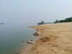 -瑶湖郊野森林公园