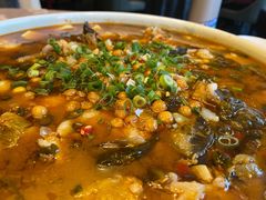 豆花江团-富乐山酒店(西黄城根北街店)