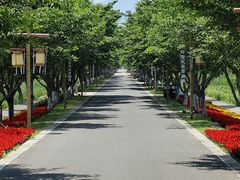 -长田漾湿地公园