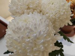 -汇龙潭