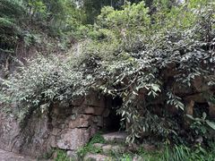-莫干山风景区