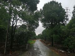 -塘栖枇杷特色园区