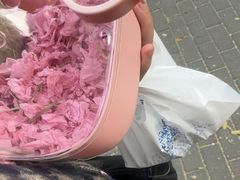 -瑞派·关忠动物医院·异宠专科·犬猫肿瘤·皮肤专科(望京店)