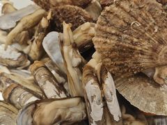 扇贝-东方红海鲜百汇(国际大厦店)